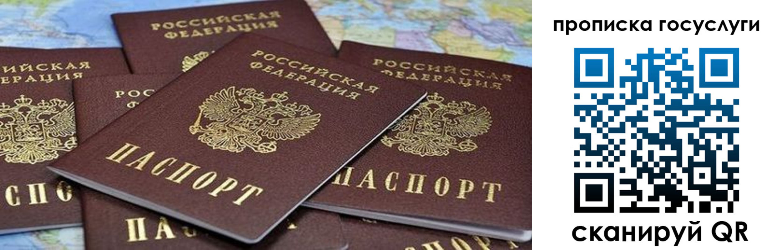 пропишу в квартире в Новомосковске